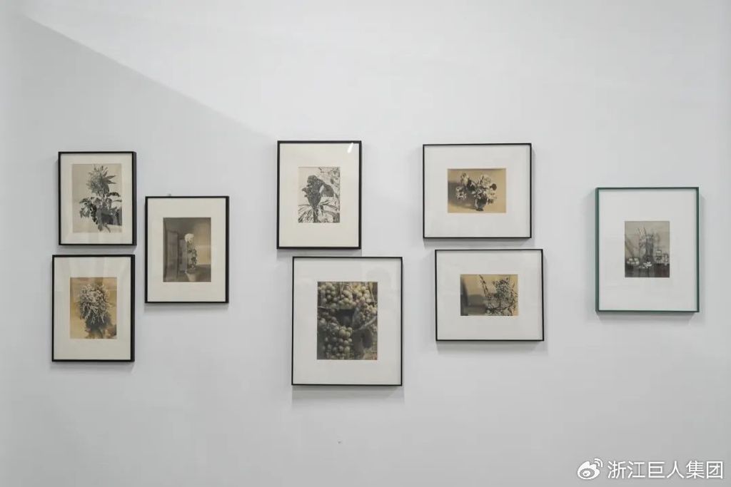 博覽相機文化 致敬科技匠心——南潯巨人照相機博物館開幕